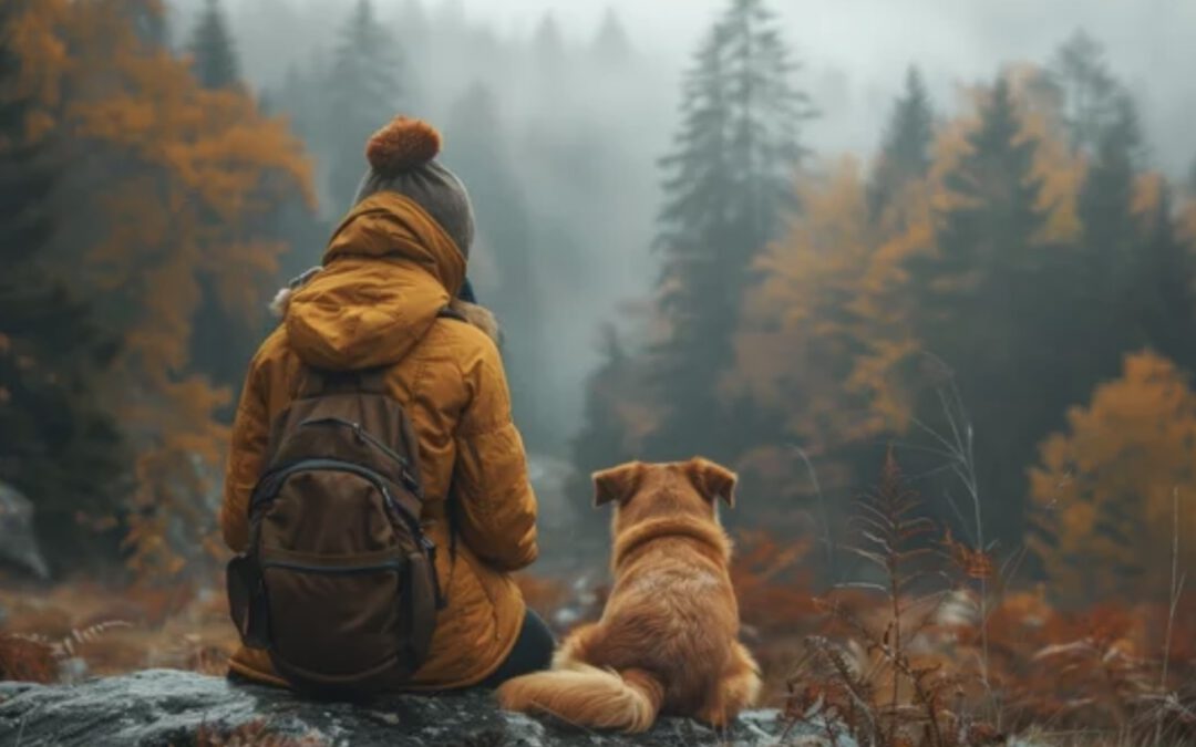 Erste Tipps im Umgang mit der Trauer