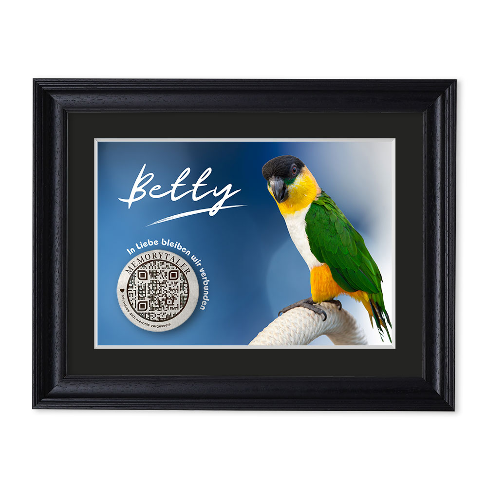 frame-schwarz-everest11-w14