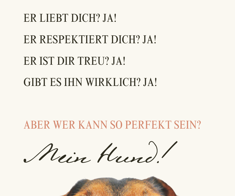 Spruch des Tages